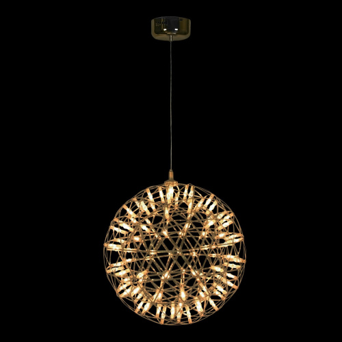 9027-43 Gold Подвесной светильник LOFT IT Raimond фото 4
