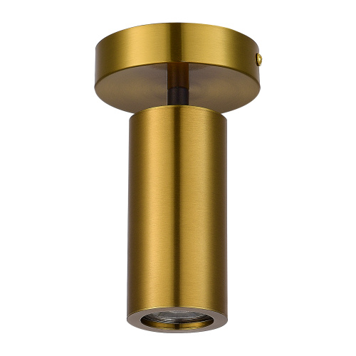 SL1215.402.01 Светильник потолочный ST-Luce Черный, Латунь/Латунь GU10 1*5W 4000K TALIA фото 2