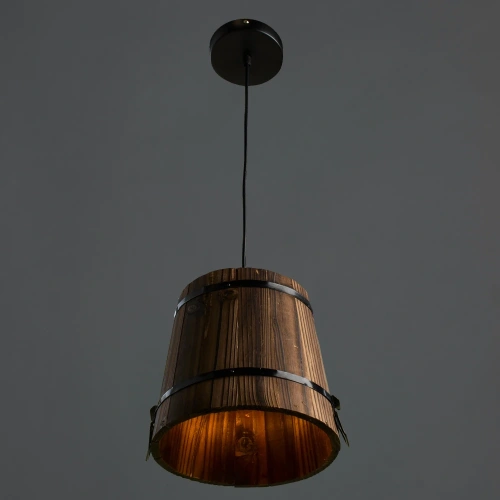 Подвесной светильник Arte Lamp BRUNO A4144SP-1BR фото 2