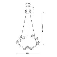 Подвесная люстра Pleiade Brass FL1223-10P