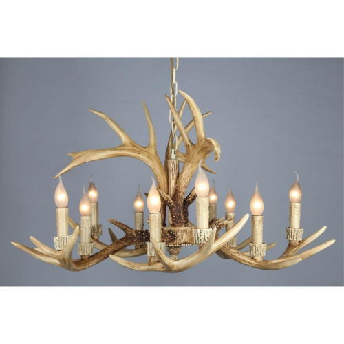 Люстра подвесная OML-52003-10 фото 3 Люстра подвесная OML-52003-10 фото 3