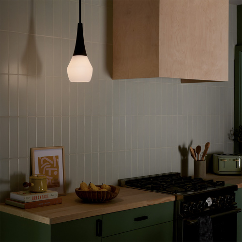 Подвесной светильник Kichler, Арт. KL-DEELA-P-BK фото 5