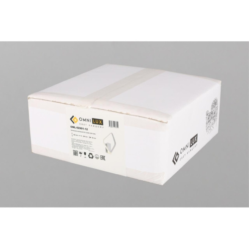 Светильник настенный (Бра) OML-02901-12 фото 4