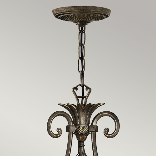 Люстра Hinkely Lighting, Арт. HK-PLANT7-PZ фото 3