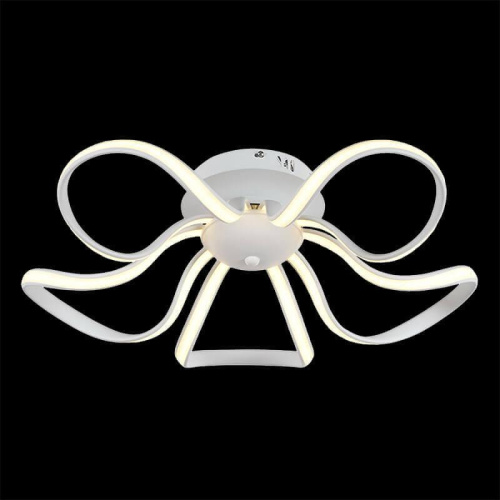 Потолочный светодиодный светильник Arti Lampadari Garda L 1.5.78 W фото 3