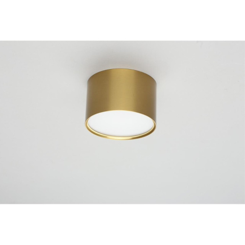 Светильник встраиваемый-накладной OML-103329-06 фото 4