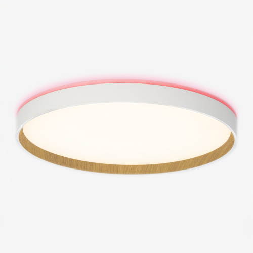 Citilux ETALON CL750400R LED RGB Светильник с пультом Белый+Бук фото 4 Citilux ETALON CL750400R LED RGB Светильник с пультом Белый+Бук фото 4