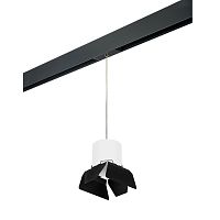 Комплект с трековым светильником Lightstar Rullo (213486+595887+202487) PRORP3486487