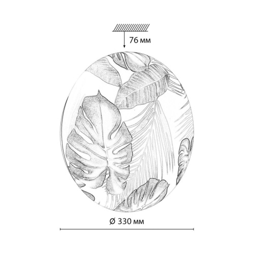 Настенно-потолочный светодиодный светильник Sonex Pale Flori 7748/CL фото 7