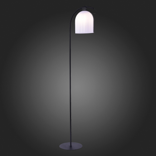 SL1302.405.01 Торшер ST-Luce Черный/Белый E27 LED 1*7W AIRE фото 5 SL1302.405.01 Торшер ST-Luce Черный/Белый E27 LED 1*7W AIRE фото 5