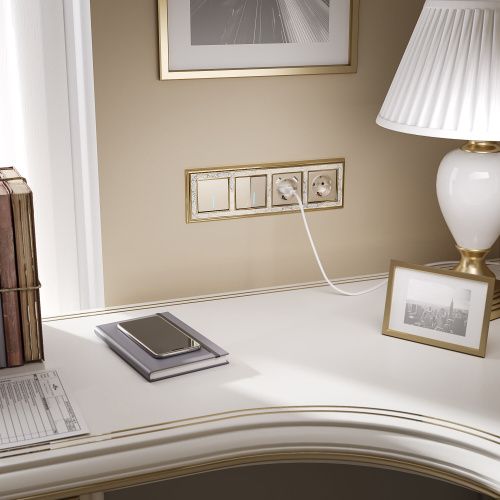 Выключатель двухклавишный проходной с подсветкой (шампань) W1122111 фото 5 Выключатель двухклавишный проходной с подсветкой (шампань) W1122111 фото 5