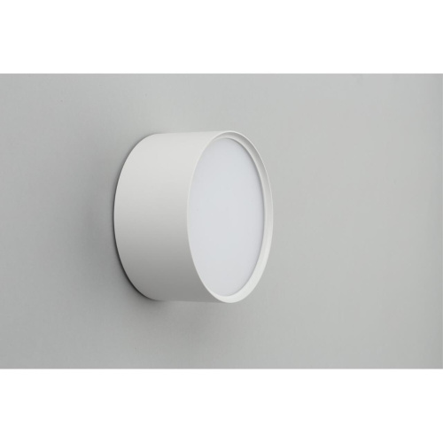 Светильник встраиваемый-накладной OML-100909-12 фото 4