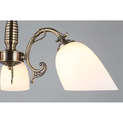 Люстра подвесная OML-56407-03 фото 6