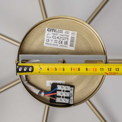Подвесная люстра Citilux Alton CL421273 фото 5