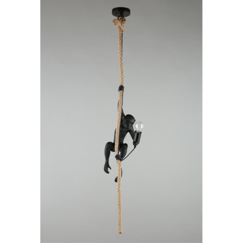 Светильник подвесной APL.309.16.01 фото 2 Светильник подвесной APL.309.16.01 фото 2