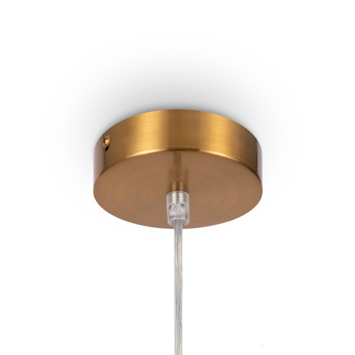 Подвесной светильник Freya FR5220PL-01G фото 2