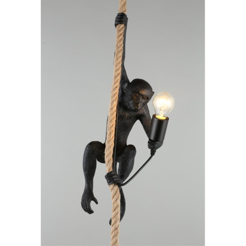 Светильник подвесной APL.309.16.01 фото 5 Светильник подвесной APL.309.16.01 фото 5