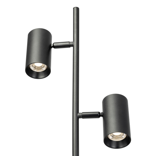 Citilux Twin CL809011N Торшер светодиодный Чёрный фото 4 Citilux Twin CL809011N Торшер светодиодный Чёрный фото 4