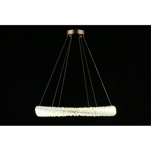 Люстра подвесная APL.853.03.88 фото 13