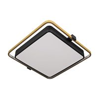 10172 Потолочный светильник LOFT IT Mike