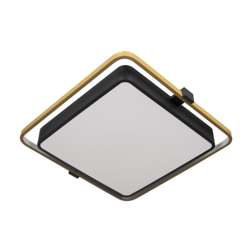 10172 Потолочный светильник LOFT IT Mike