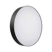 Настенно-потолочный светильник Sonex BASICA 7780/ELN