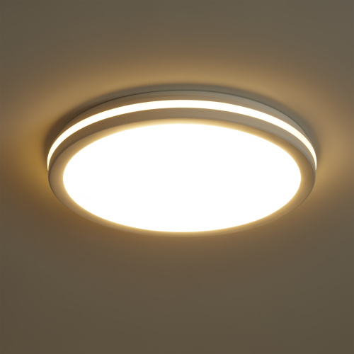 Потолочный светильник Freya FR6160CL-L40W фото 9 Потолочный светильник Freya FR6160CL-L40W фото 9