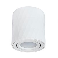 Точечный накладной светильник Arte Lamp FANG A5559PL-1WH