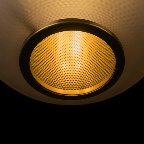 10425 Grey Подвесной светильник LOFT IT Hive фото 3