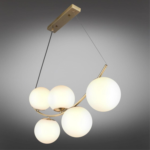 Люстра подвесная OML-94903-05 фото 2