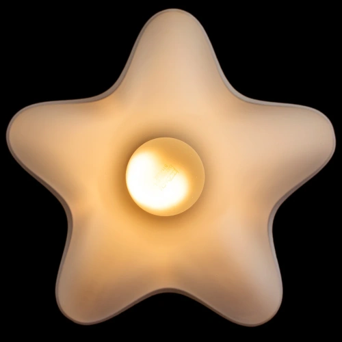 Потолочный светильник Arte Lamp CANZONE A3469PL-1CC фото 3