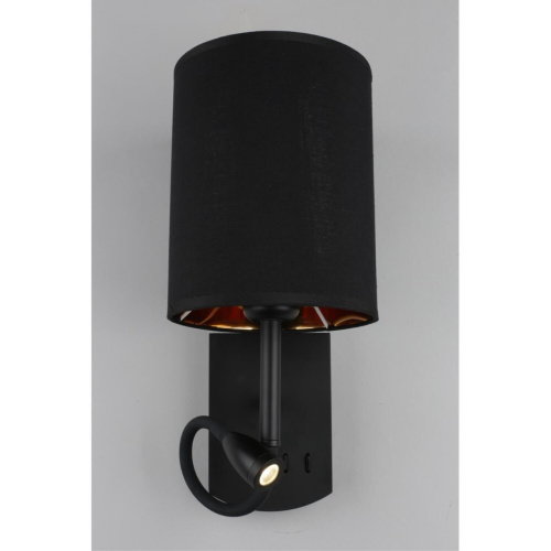 Светильник настенный (Бра) OML-62711-02 фото 5