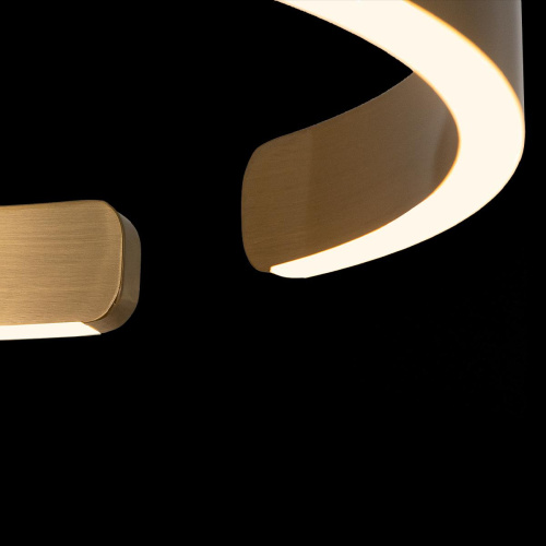 10013S Подвесной светильник LOFT IT Ring фото 5