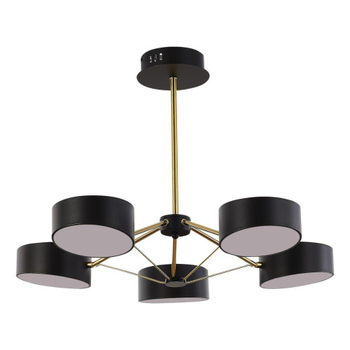 Потолочная светодиодная люстра Evoluce Valle SLE6005-402-05 Потолочная светодиодная люстра Evoluce Valle SLE6005-402-05