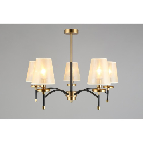 Люстра потолочная OML-67307-05 фото 5 Люстра потолочная OML-67307-05 фото 5