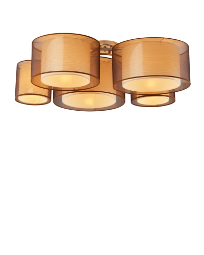 Светильник потолочный Moderli V10624-5C Room