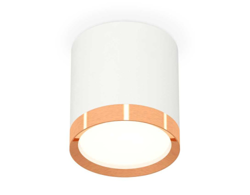 Комплект накладного светильника Ambrella light Techno Spot XS (C8141, N8126) XS8141005