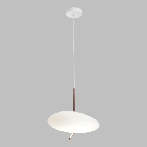 Подвесной светильник Lussole SY8257 фото 2