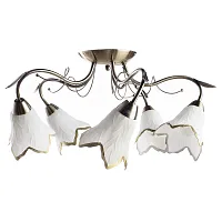 Потолочная люстра Arte Lamp BARBARA A6066PL-5AB