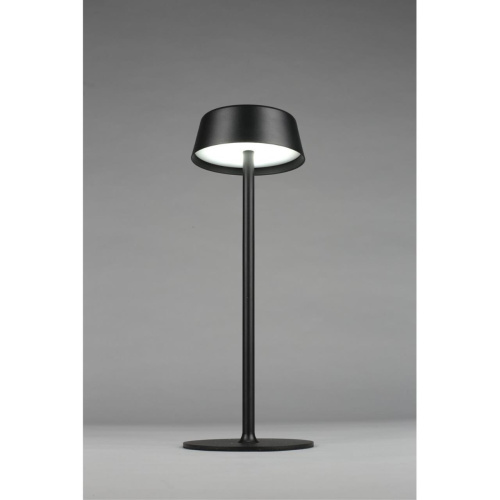 Настольная лампа OML-40504-01 фото 8