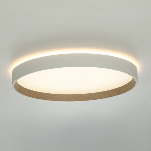 Citilux ETALON CL750320R LED RGB Светильник с пультом Белый+Бук фото 6 Citilux ETALON CL750320R LED RGB Светильник с пультом Белый+Бук фото 6