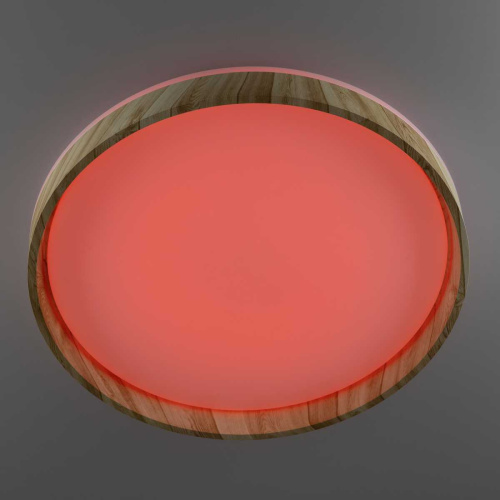 Потолочный светодиодный светильник Citilux Enzo CL753452G фото 10