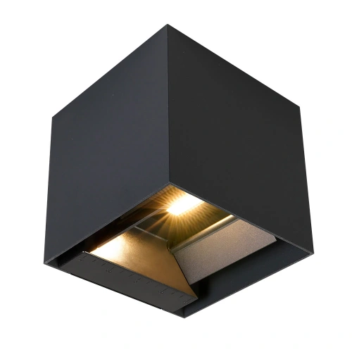 Фасадный светильник Arte Lamp RULLO A1434AL-1BK фото 2