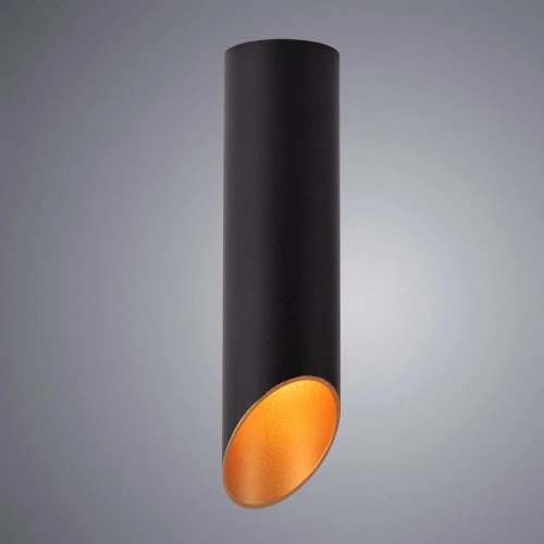 Точечный накладной светильник Arte Lamp PILON-GOLD A1535PL-1BK фото 2