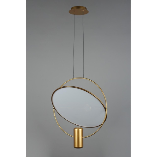 Светильник подвесной OML-29816-02 фото 4