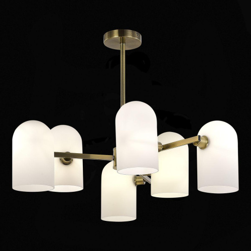 Подвесная люстра Evoluce Nobilia SLE1047-302-06 фото 2