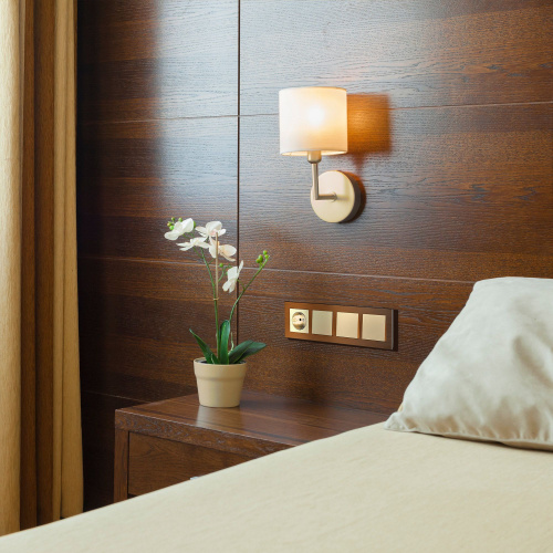 Выключатель одноклавишный проходной (шампань) W1112011 фото 2 Выключатель одноклавишный проходной (шампань) W1112011 фото 2