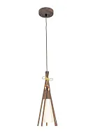 Подвесной светильник Arte Lamp CARAVELLA A8328SP-1BR