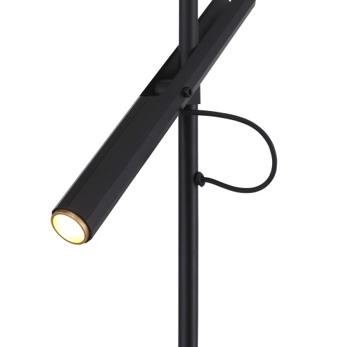 SL6210.404.01 Прикроватная лампа ST-Luce Черный/Черный, Золотистый LED 1*3W 3000K LILT фото 4