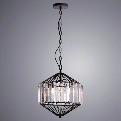 Подвесной светильник Arte Lamp CASSEL A1790SP-1BK фото 2